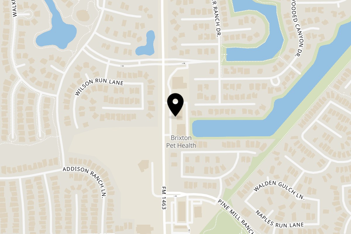 Map showing the location of Rasoi on 4603 FM 1463 #500 in Katy